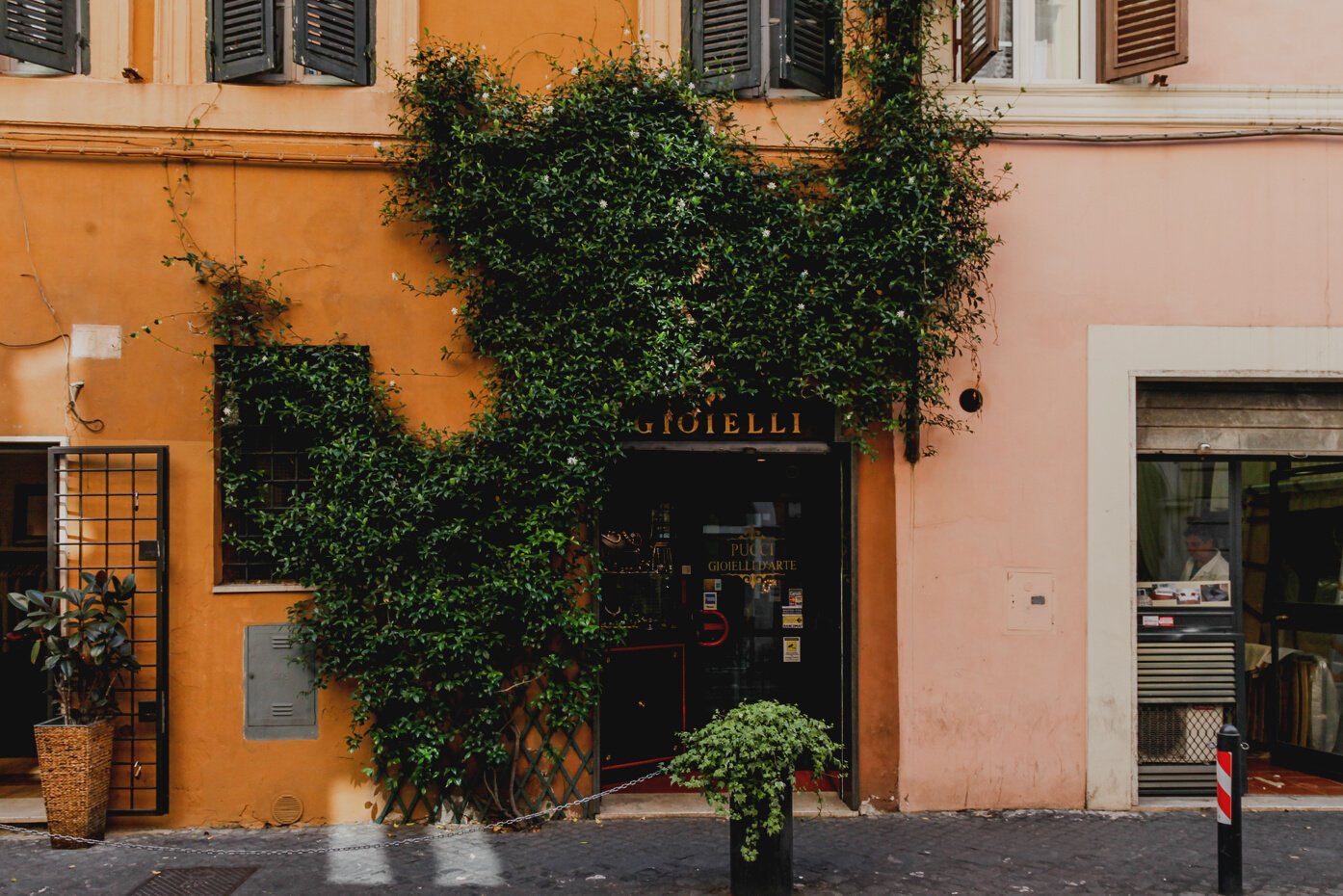 Green Leaves Covering Building 